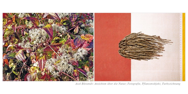 Ansichten über die Natur